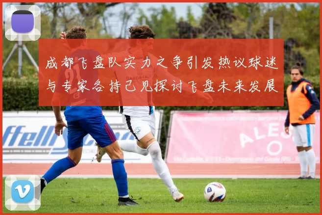 成都飞盘队实力之争引发热议球迷与专家各持己见探讨飞盘未来发展MBA