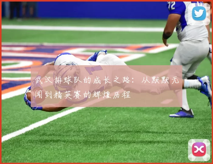 武汉排球队的成长之路：从默默无闻到精英赛的辉煌历程
