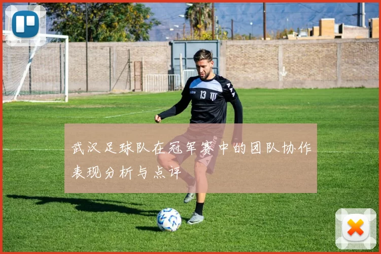 武汉足球队在冠军赛中的团队协作表现分析与点评